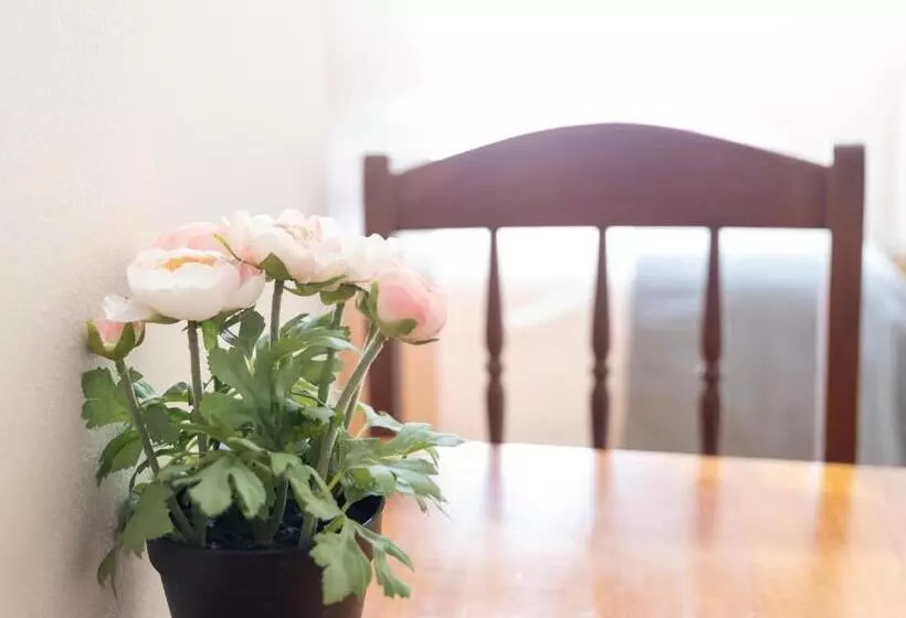 Pensión A Codeseira Melide