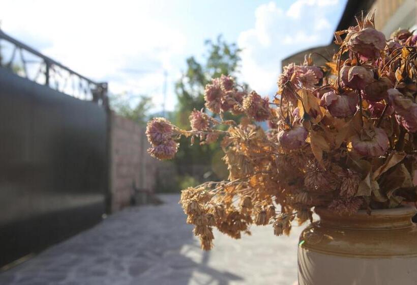 Pension Collage Guesthouse