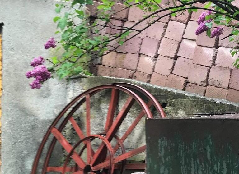 Pension Collage Guesthouse