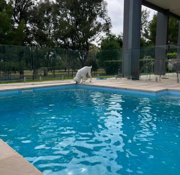 פנסיון Cozy Private Room With Secured Yard Pet Friendly