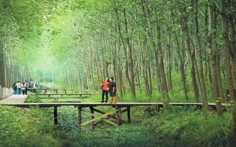 Hotelli James Joyce Coffetel·hefei Binhu Provincial Government Tangxihe Park Metro Station