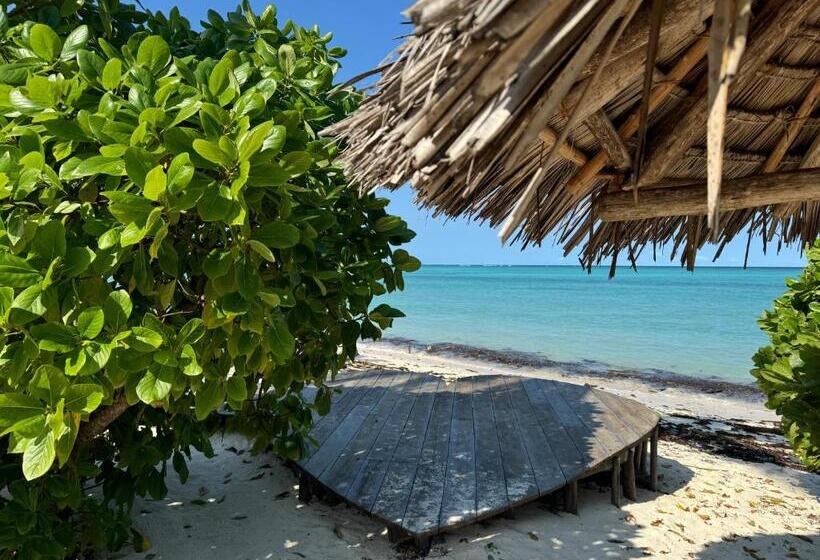 호텔 Juana Ocean Villas