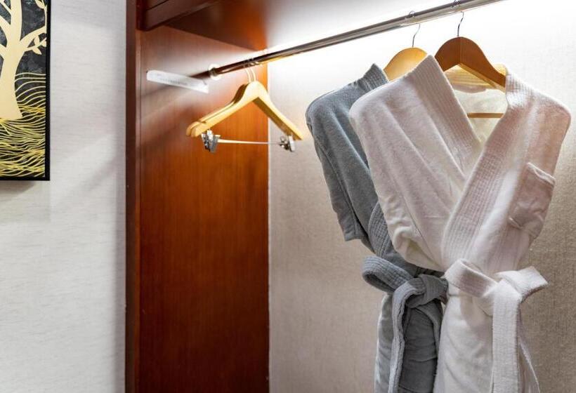 贵阳综保嘉悦酒店