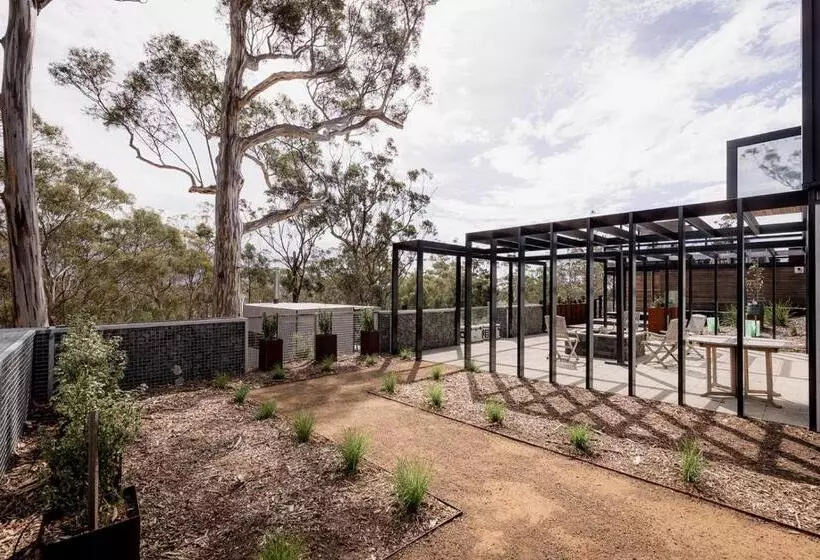 Boxwood Mount Nelson, Suite 01b