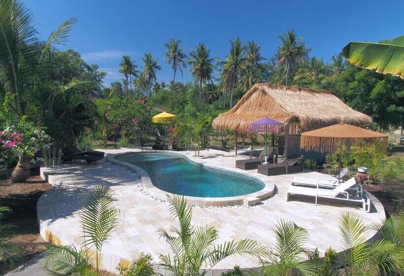 فندق Coco Breeze Spa