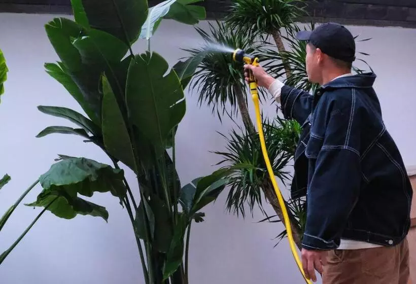 Majatalo 大理古城渔月客栈