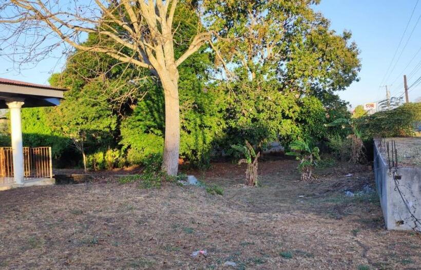 פנסיון Don Fran S Hostel