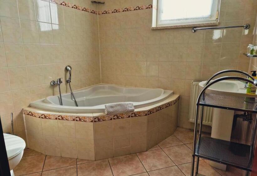 پانسیون Penzion Harmonie Chodov