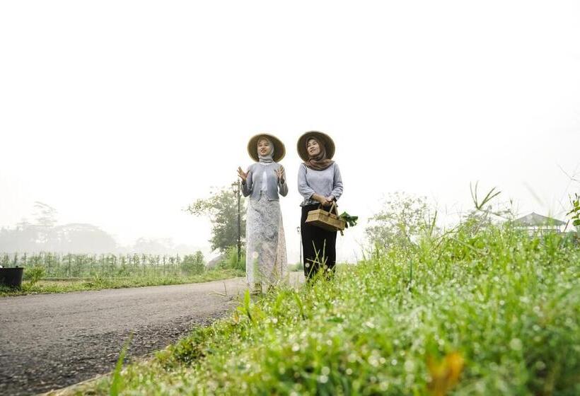 פנסיון Villa White Wringin Borobudur