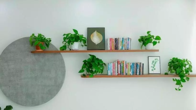 هتل Nha Trong Pho   Green House