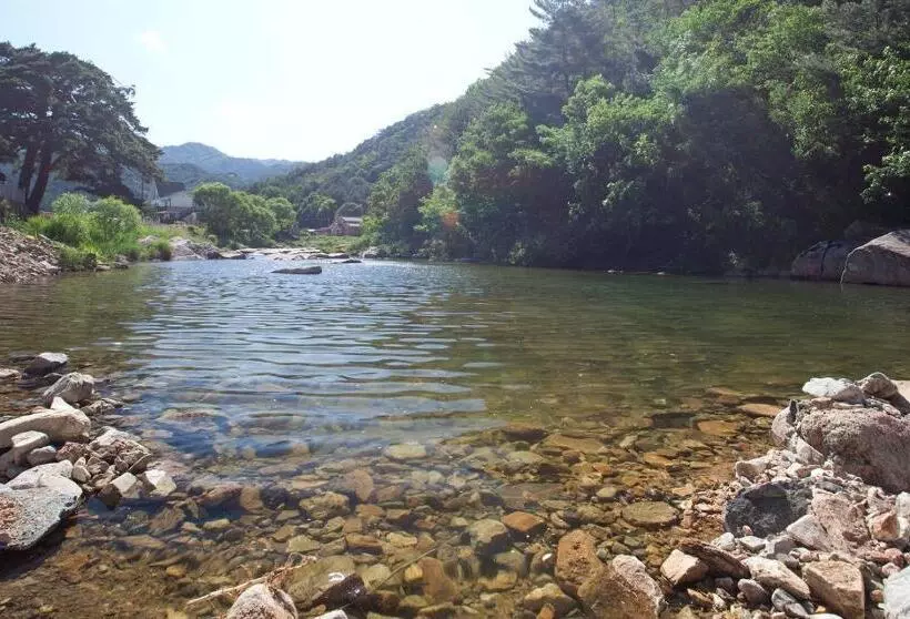 Majatalo Sangju Sogrisan Solhyanggipensyeon