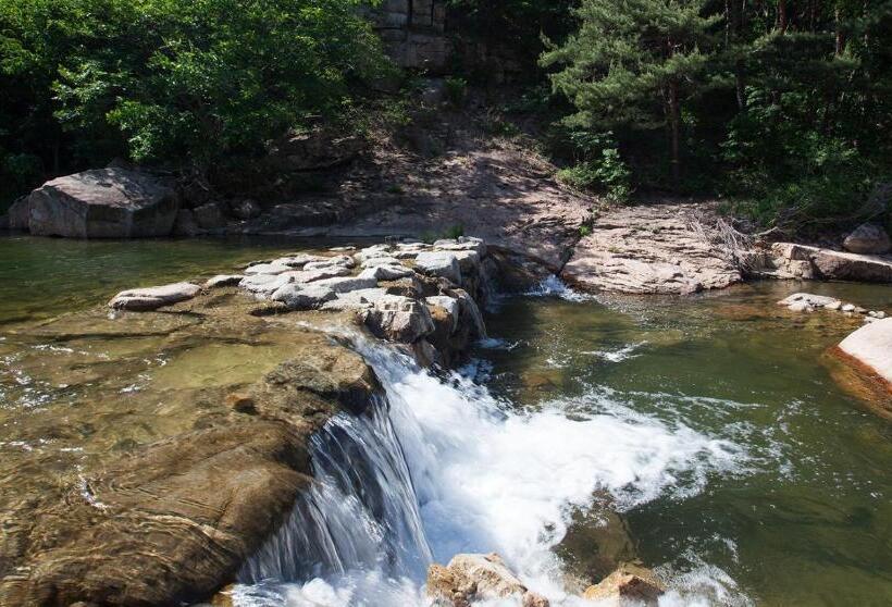 Pensione Sangju Sogrisan Solhyanggipensyeon