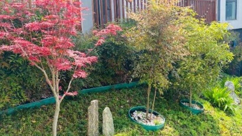 Borrman Hotel Yangzhou Shouxi Lake Dongguan Street