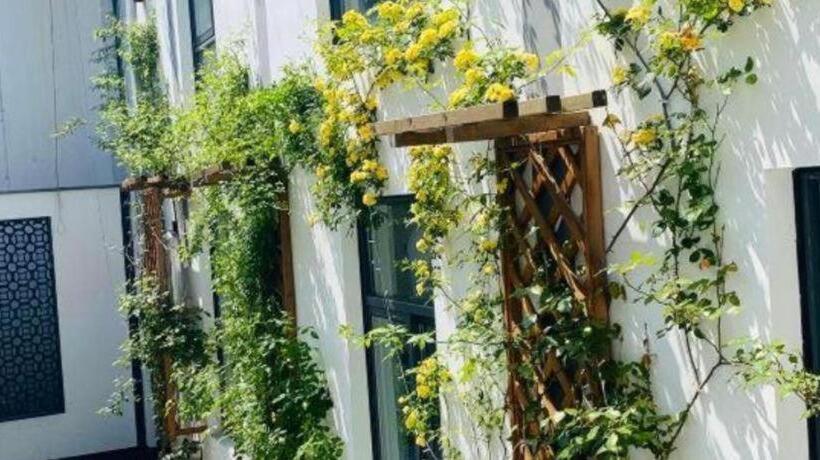 Borrman Hotel Yangzhou Shouxi Lake Dongguan Street