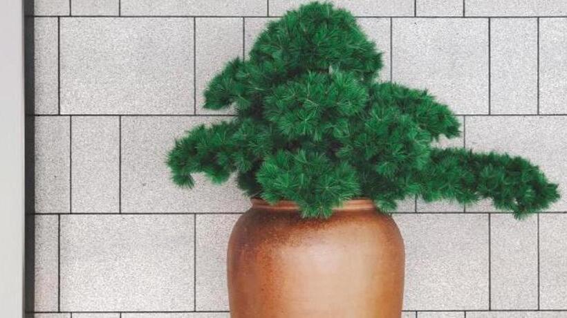 Ji Hotel Shijiazhuang Tianshan Sea World