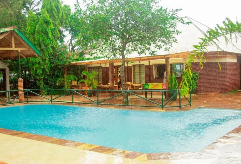 住宿加早餐  Ngorongoro Camp And Lodge