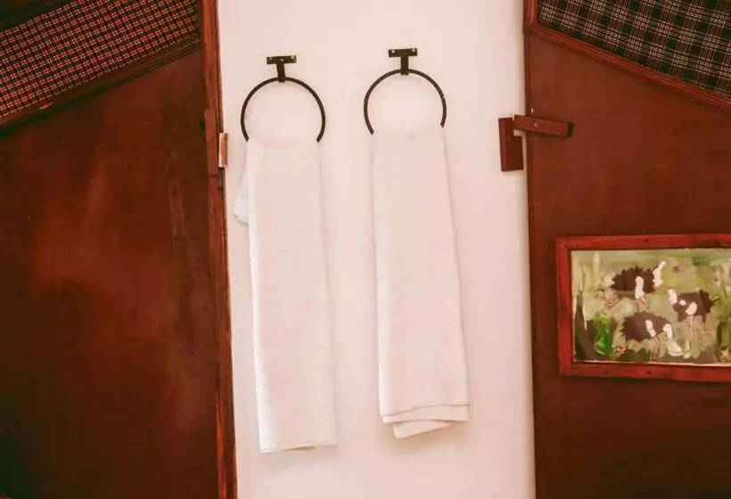 ベッドアンドブレックファースト Ngorongoro Camp And Lodge