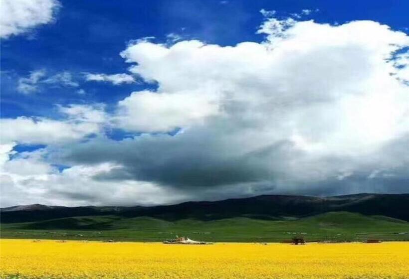 Chonpho Hotel Xining Haihu Wanda Plaza