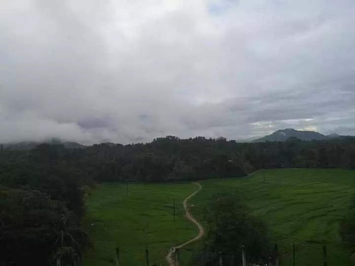 هتل Gangana Resort Inn