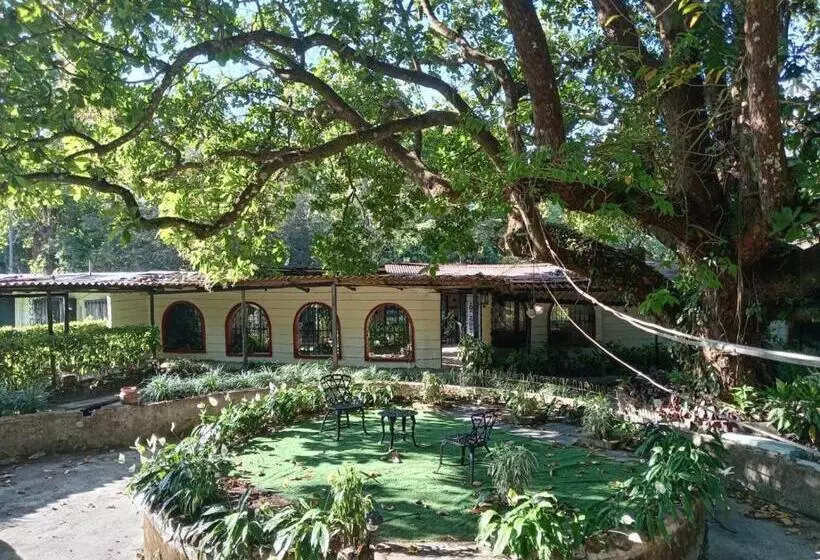 هتل La Casa De Analu