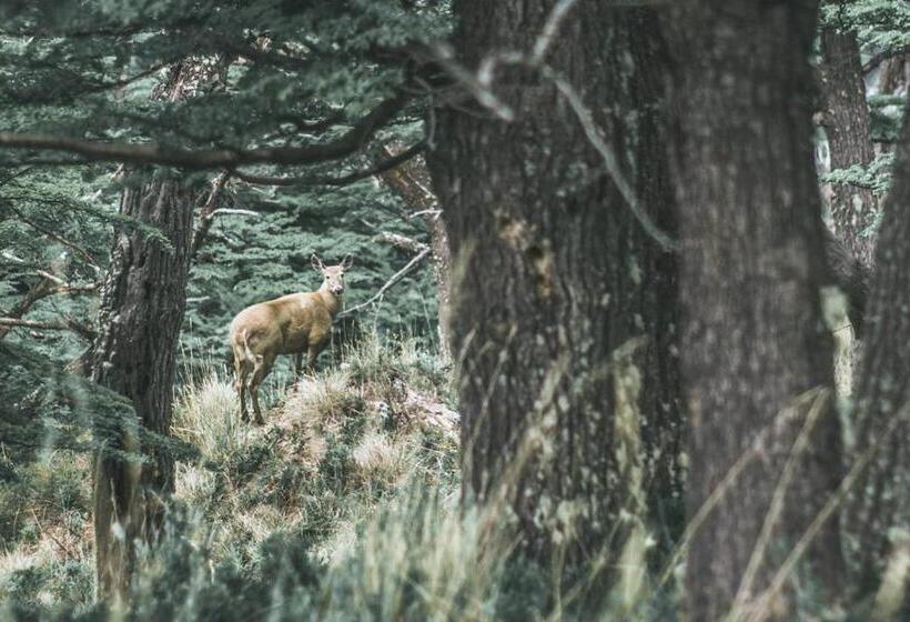 הוסטל Piedra Del Fraile Refugio De Montaña
