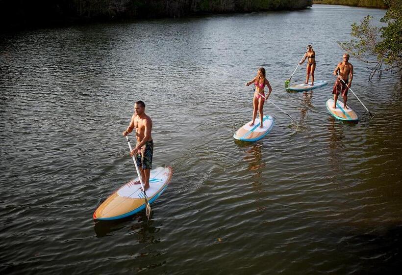 ユースホステル Villa Paz   La Villa Group