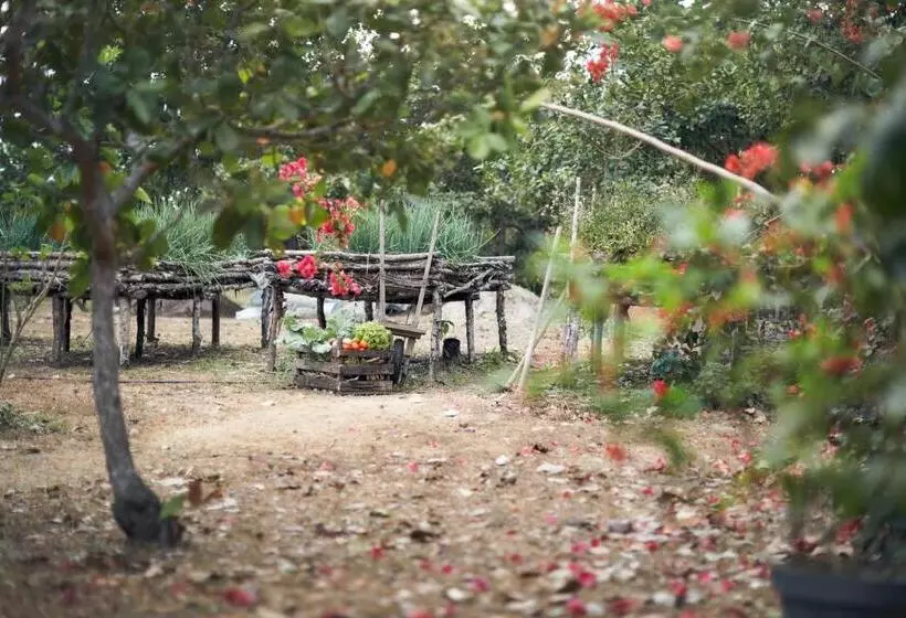 Retkeilymaja Villa Paz   La Villa Group