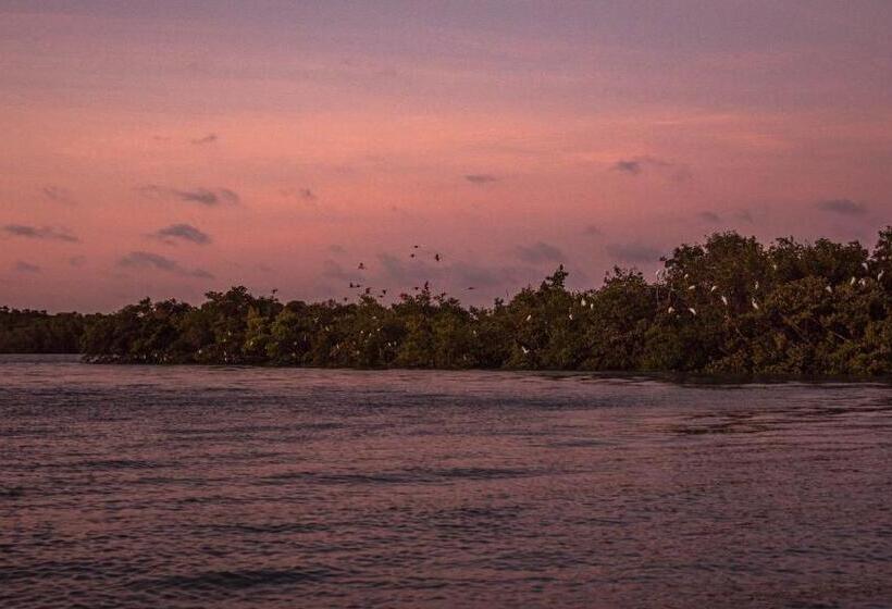 ユースホステル Villa Paz   La Villa Group