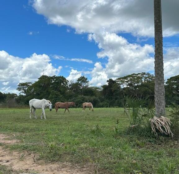 Отель Pantanal Santa Clara