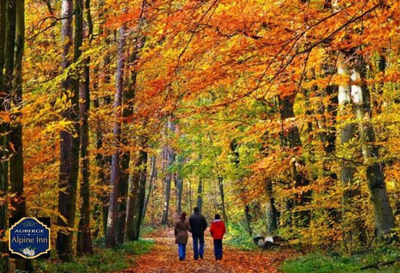 旅馆 Chalet Alpine