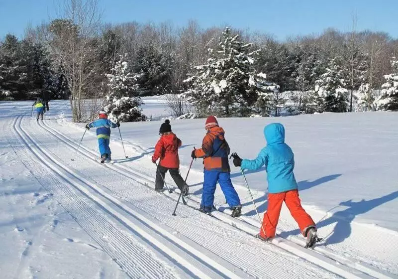 Hostel Chalet Alpine