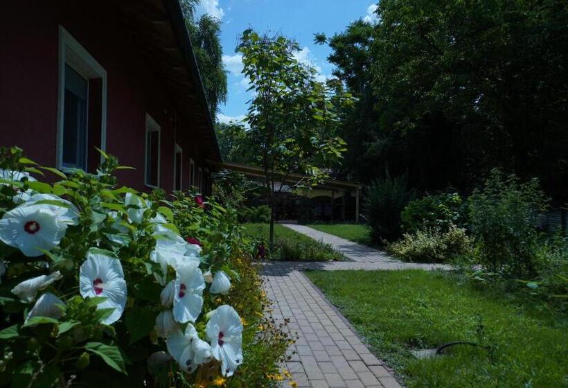 Aamiaismajoitus (B&B) Tavi Panzió