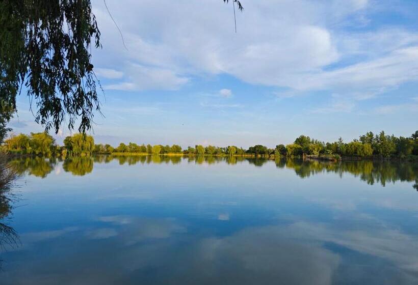 Aamiaismajoitus (B&B) Tavi Panzió