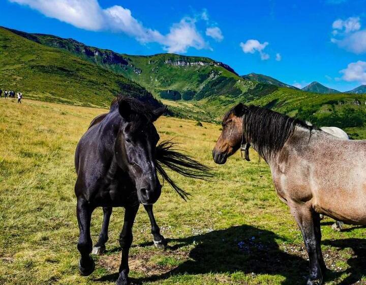 پانسیون Cabana Cascada Cailor