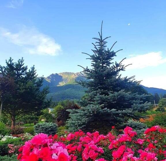 پانسیون Cabana Cascada Cailor