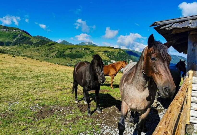 پانسیون Cabana Cascada Cailor