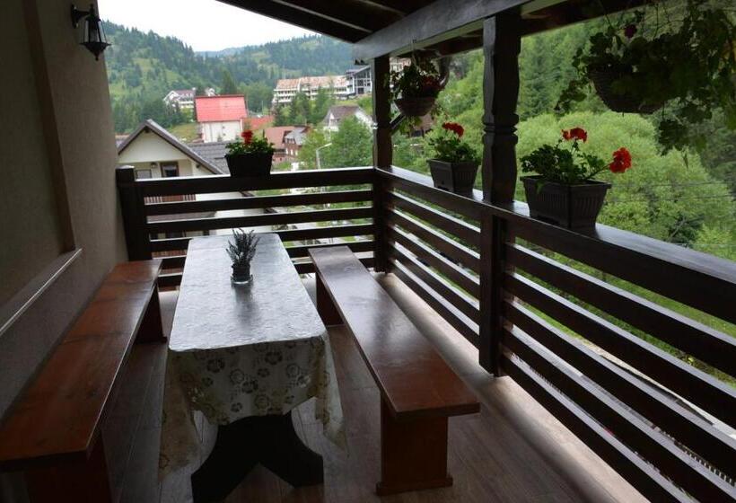 پانسیون Cabana Cascada Cailor