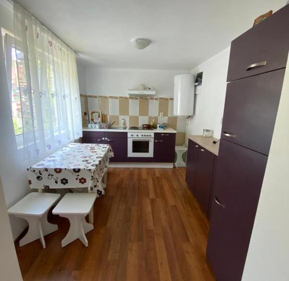 פנסיון Vila Ela, Baile Govora