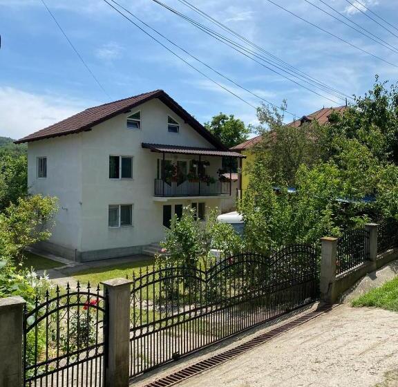 פנסיון Vila Ela, Baile Govora