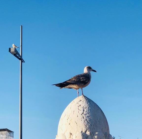 هاستل Asian Everest House