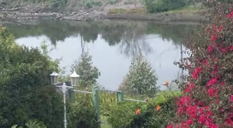 تختخواب و صبحانه Forword's River Lodge