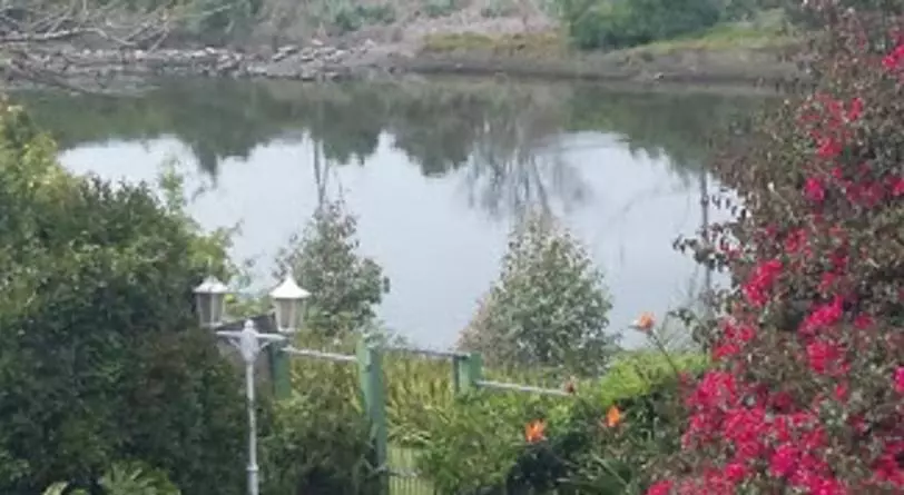 تختخواب و صبحانه Forword's River Lodge