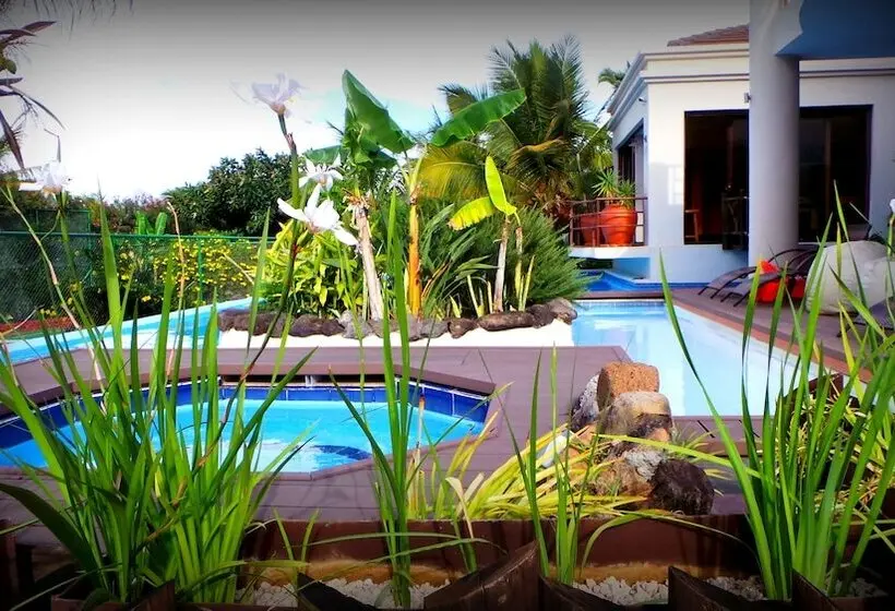 تختخواب و صبحانه Le Gite Du Bonheur Guest House & Car Rental