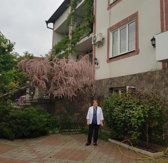 مبيت وإفطار Navigator