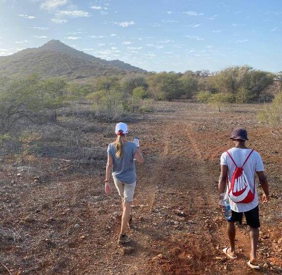 Bed & Breakfast Torre Sabina