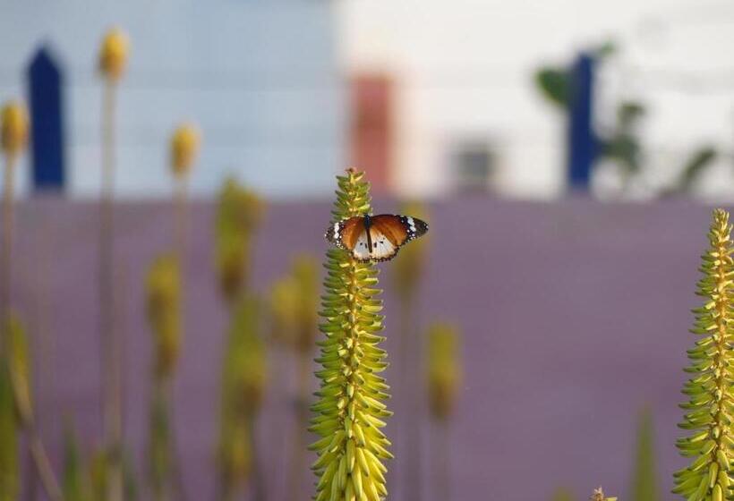 Bed & Breakfast Torre Sabina