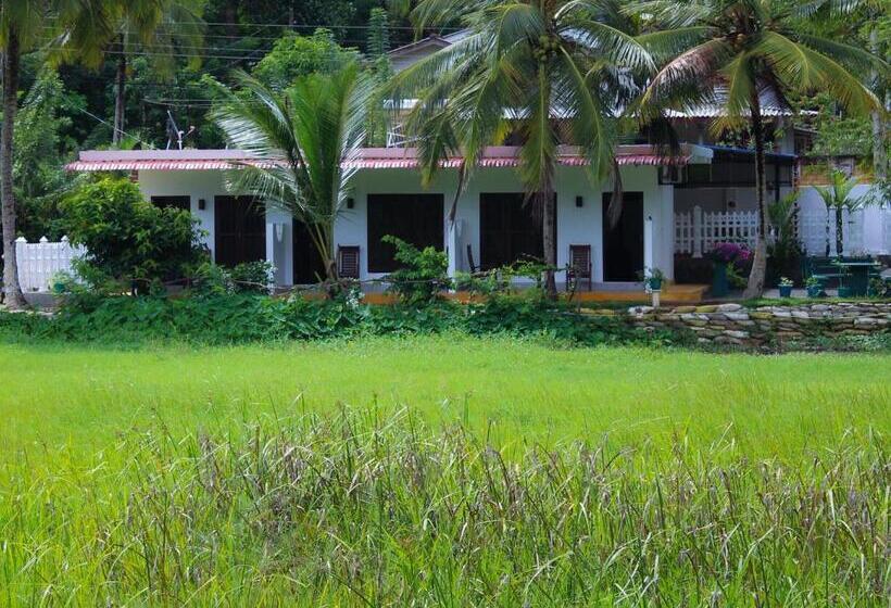 Paddy Field View Resort