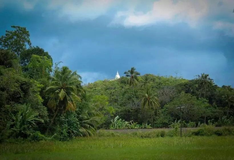 Paddy Field View Resort