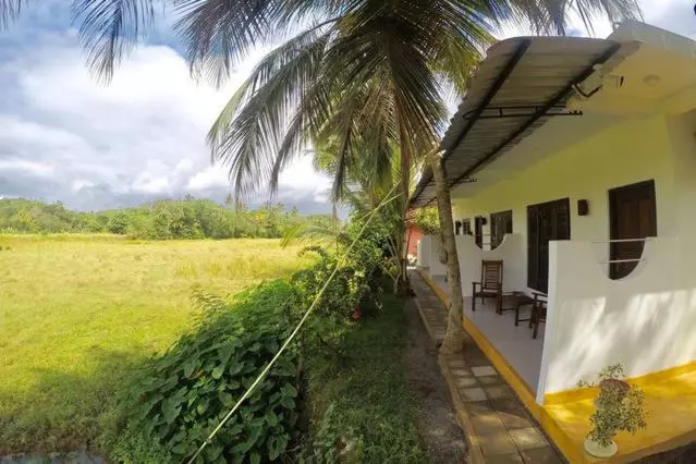 Paddy Field View Resort