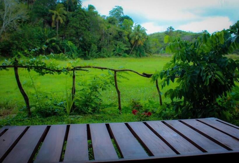 Paddy Field View Resort